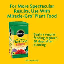 Miracle Gro Garden Soil All Purpose For