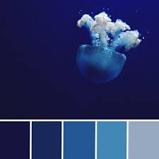 a color palette from the deep blue sea