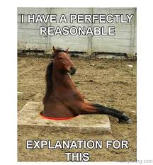 See more ideas about horse pictures, horse love, beautiful horses. 80 Super Funny Horse Memes