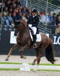 Das hatte sie sich sicher anders vorgestellt: D Avie Double Young Horse World Champion Sold To Lisa Muller