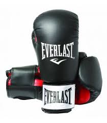 Everlast Fighter Leather Boxing Gloves