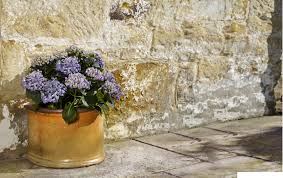 A wide range of ceramic plant pots and optional hardwood plant stands delivered anywhere in the uk. Apta Inspiring Britain S Gardeners Uk S Number 1 Pot Supplier