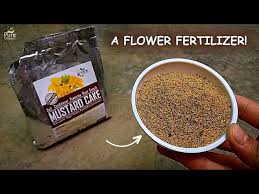 mustard cake fertilizer for plants