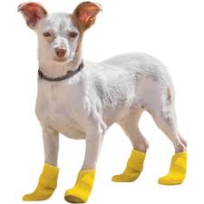 silicone dog boots yellow