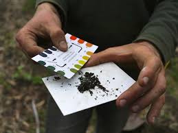 how to test your garden soil s ph and