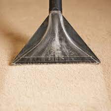 home carpet cleaning anderson carpet