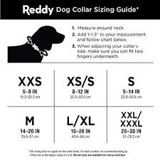 Reddy Grey Webbed Dog Collar