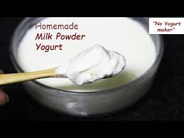 homemade yogurt with powdered milk no
