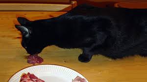 Yes, cats can indeed eat pork in small amounts as an occasional treat. Can Cats Eat Pork Benefits Side Effects Of Pork For Cats Petmoo
