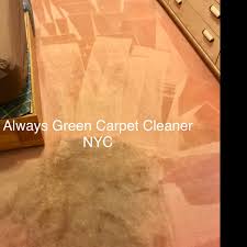 always green carpet cleaner reviews
