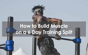 build muscle on a 6 day training split