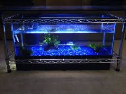 spectacular diy fish tank coffee table