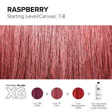 Color Xg Formula Created By Paul Mitchell In 2019 Paul