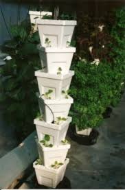 vertical hydroponics its pros and
