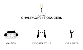 How To Choose The Best Champagne Wine Folly
