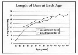 Do You Eat Smallmouth Bass When Fishing Canadian Lodges