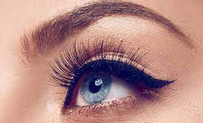 ocular surface and dry eye disease