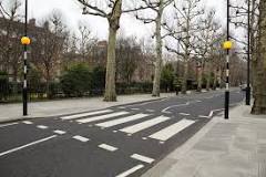Why is a zebra crossing black and white?