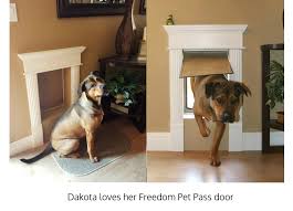 High Tech Pet Power Pet Door For Door