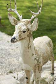 Painted Concrete Deer Upcycling