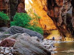 zion narrows trail in zion national