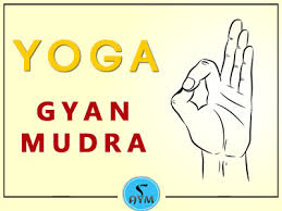 important mudras of yoga yoga mudras