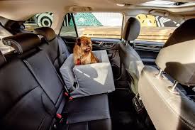 Dog Car Seat Pet Booster Seat For Small