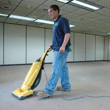 saratoga carpet cleaning pro 245