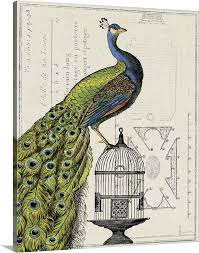 Peacock Birdcage I Wall Art Canvas