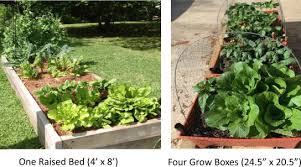 Vegetable Gardening Intervention