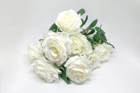 what do white roses mean and symbolize