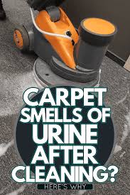 carpet smells of urine after cleaning