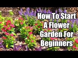 Flower Garden Planning For Beginners