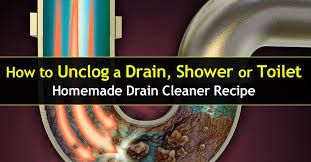 how to unclog a shower drain or toilet