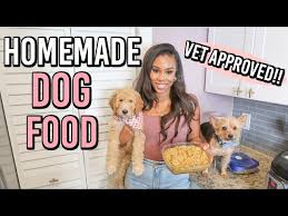 homemade healthy dog food recipe