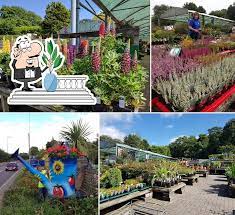 cleeve nursery and garden centre in