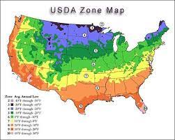 Cold Hardiness And Heat Zones