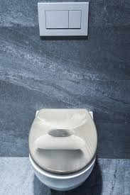 Toilet Seat Harmony Awd02181391