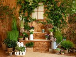 Perfect Plants For Patios And Garden Rooms