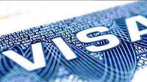 h 1b visas to computer programmers