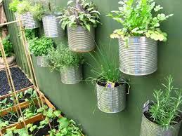 aromáticas diy herb garden container