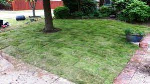 how much does it cost to sod a yard