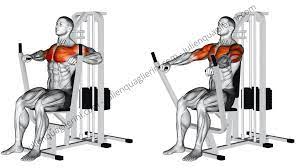 seated bench press how to do this