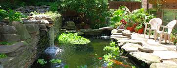 Pond Equipment Water Gardens