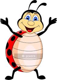 Wall Decal Funny Ladybug Cartoon