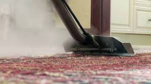 carpet cleaning kingston ontario spider