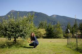 When And How To Plant Fruit Trees