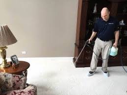 carpet cleaning in roselle il steam