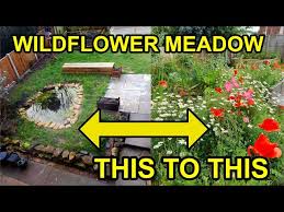 making a wildflower meadow garden you
