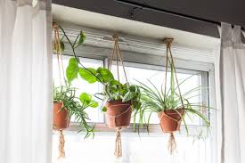 To avoid drips after watering, add a saucer under hanging baskets, but empty it regularly. Best Stylish Indoor Hanging Planters 2021 Apartment Therapy